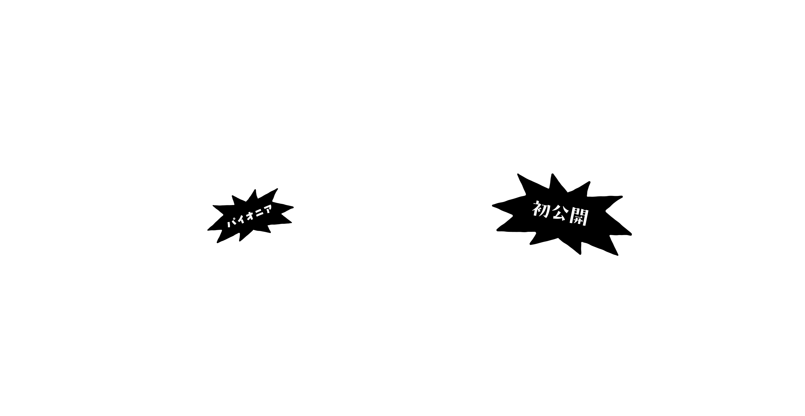 キソパッキン製品史 はじめての完全ビジュアル化。キソパッキンの進化、全部見せます。